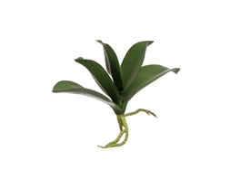 FOLHA DE ORQUIDEA X5 32CM